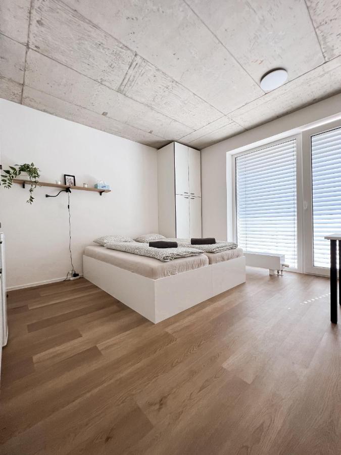 Celestial Apartments Brno Dış mekan fotoğraf